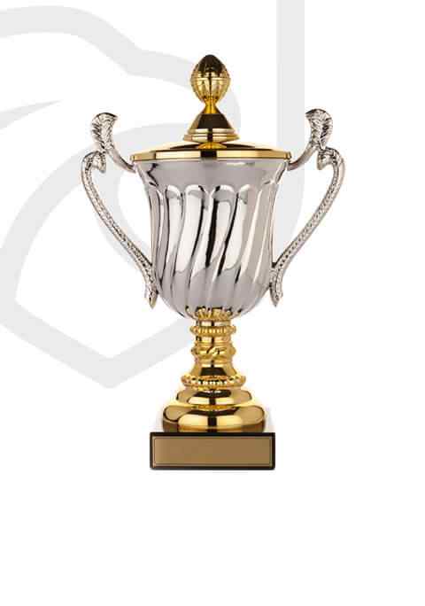 http://coyotesvolleyball.com/wp-content/uploads/2022/11/trophy_overlay_02.jpg